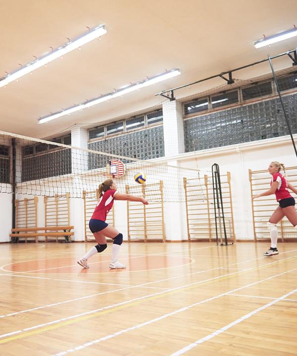 Volleyball players on court
