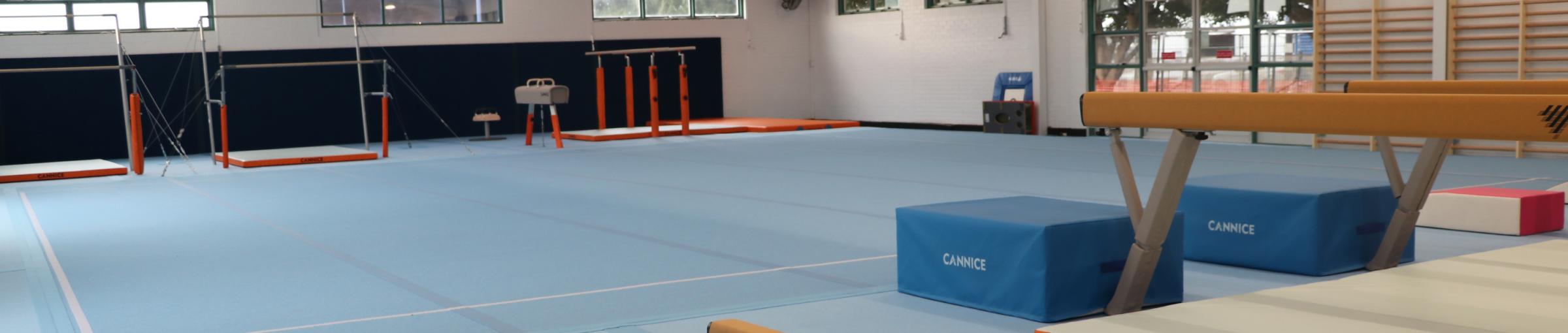 gymnastics floor