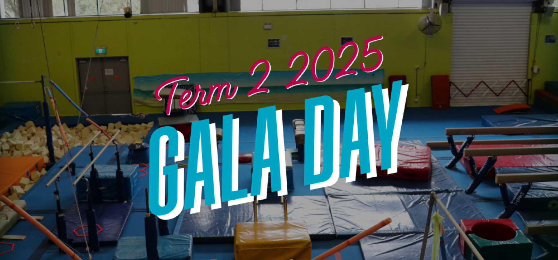 Gymnastics at Five Dock Gala Day